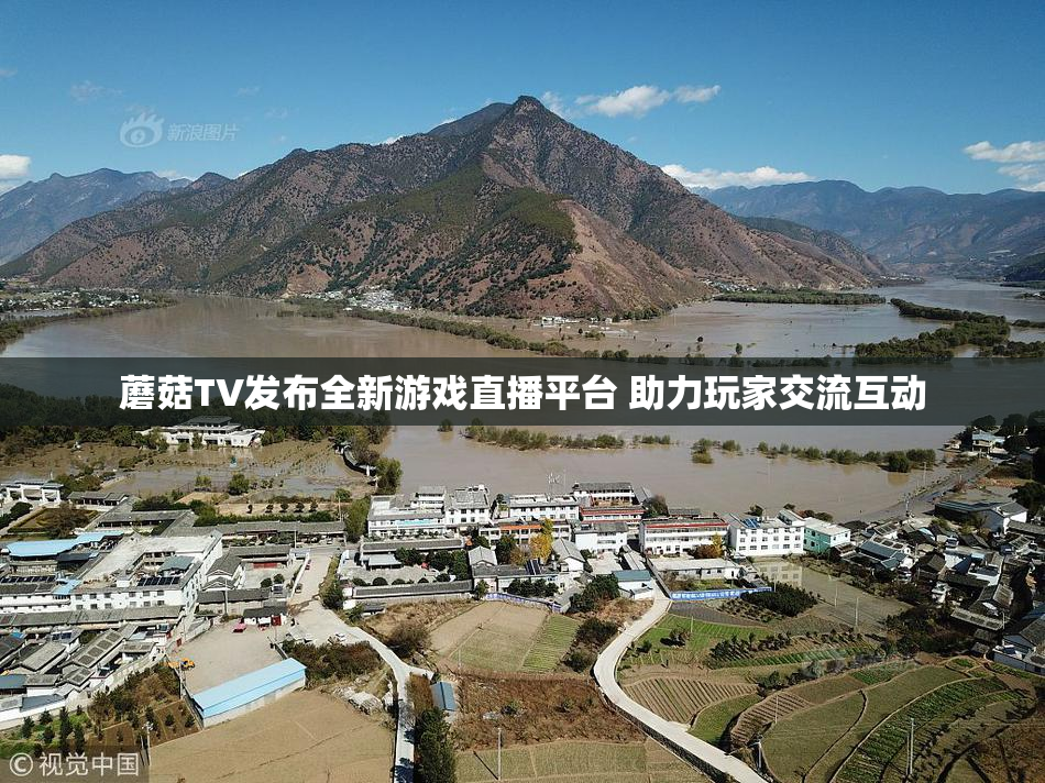 蘑菇TV发布全新游戏直播平台 助力玩家交流互动