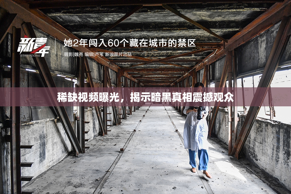 稀缺视频曝光，揭示暗黑真相震撼观众