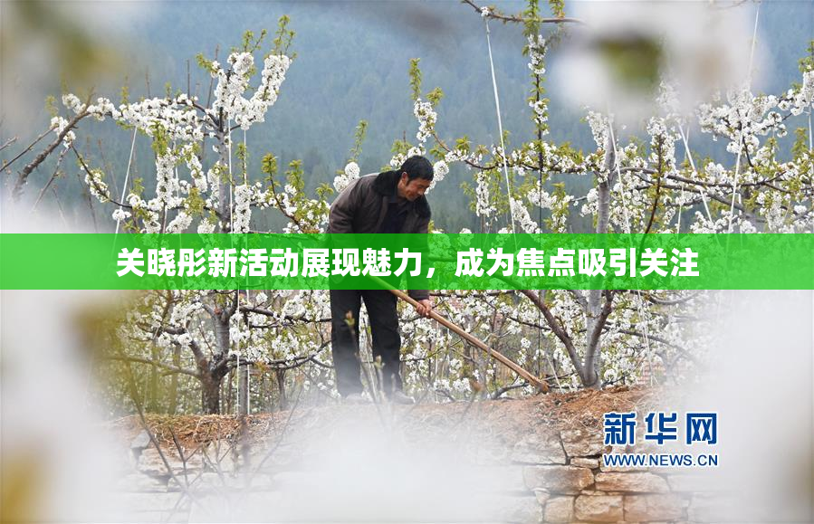 关晓彤新活动展现魅力，成为焦点吸引关注