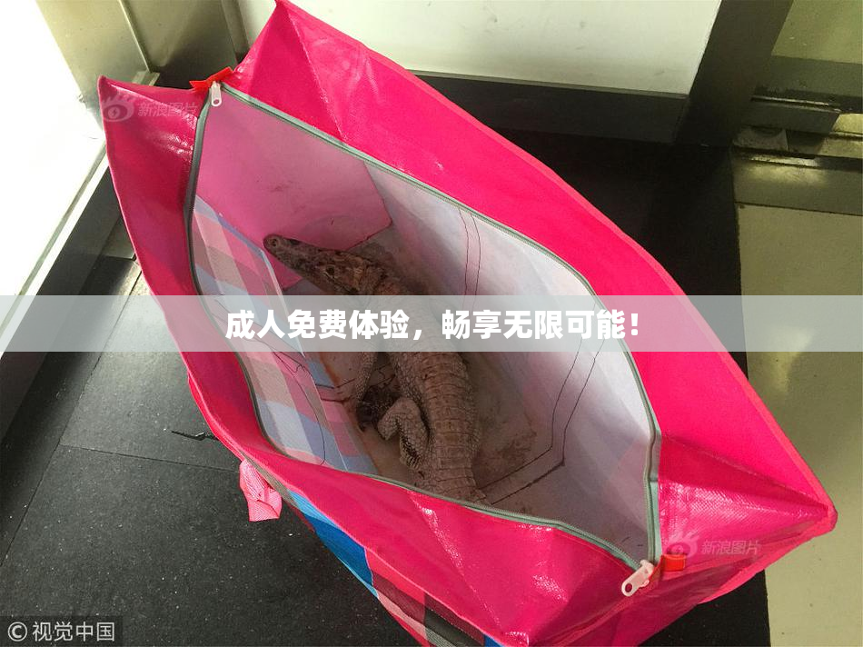 成人免费体验，畅享无限可能！