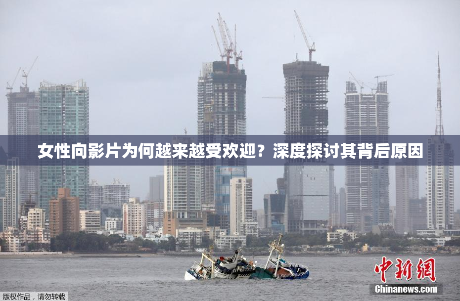 女性向影片为何越来越受欢迎？深度探讨其背后原因