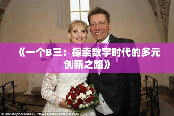 《一个B三：探索数字时代的多元创新之路》