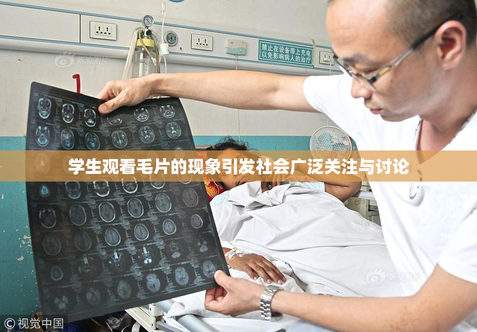 学生观看毛片的现象引发社会广泛关注与讨论