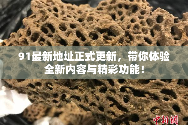91最新地址正式更新，带你体验全新内容与精彩功能！
