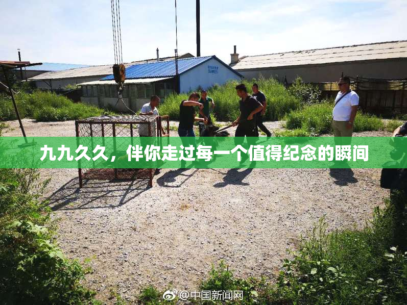 九九久久，伴你走过每一个值得纪念的瞬间