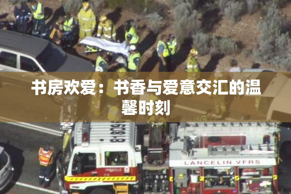 书房欢爱：书香与爱意交汇的温馨时刻