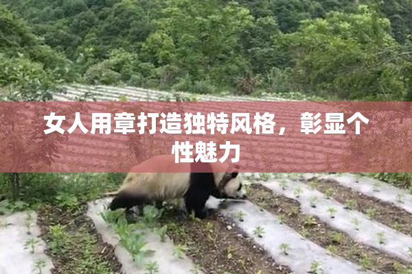 女人用章打造独特风格，彰显个性魅力