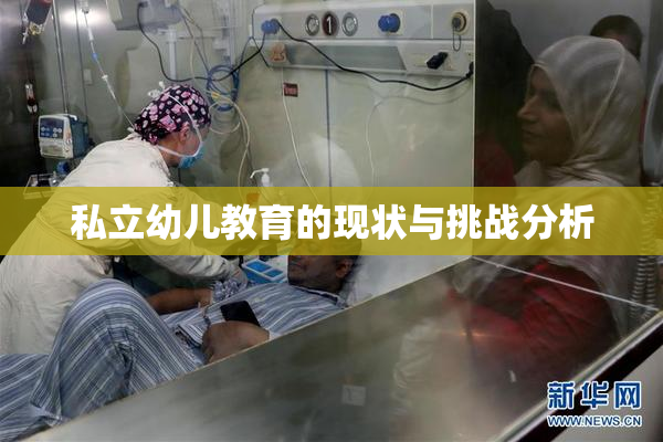 私立幼儿教育的现状与挑战分析
