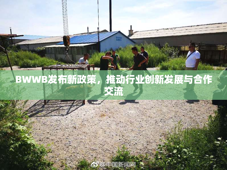 BWWB发布新政策，推动行业创新发展与合作交流
