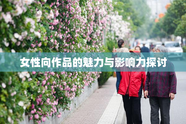 女性向作品的魅力与影响力探讨
