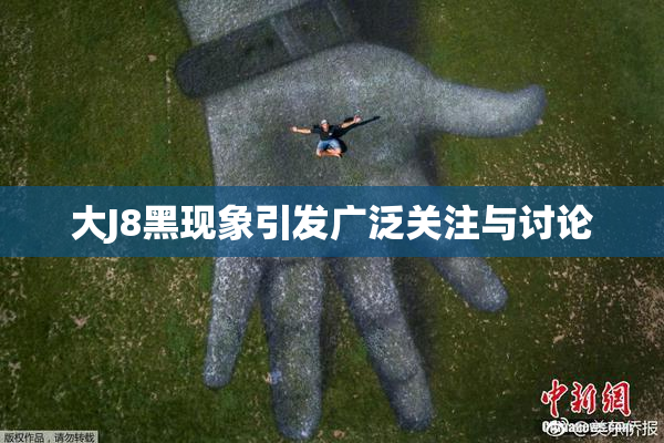 大J8黑现象引发广泛关注与讨论