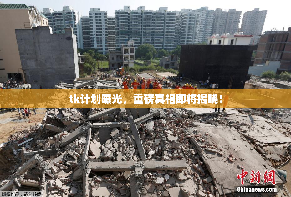 tk计划曝光，重磅真相即将揭晓！