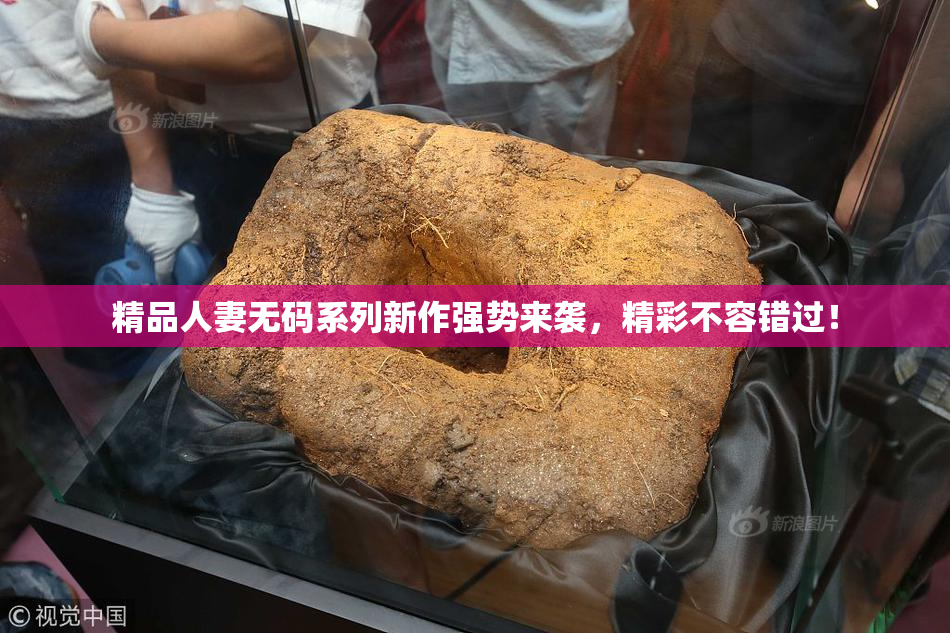 精品人妻无码系列新作强势来袭，精彩不容错过！