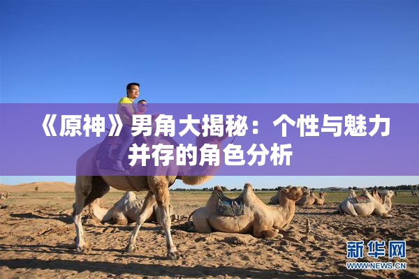 《原神》男角大揭秘：个性与魅力并存的角色分析