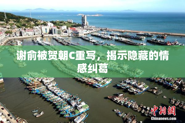 谢俞被贺朝C重写，揭示隐藏的情感纠葛