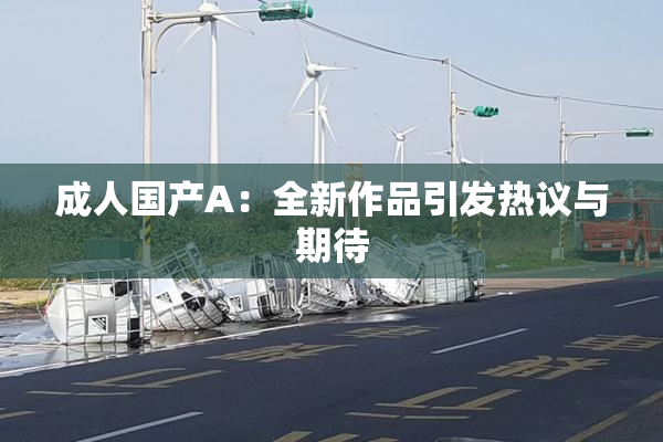 成人国产A：全新作品引发热议与期待