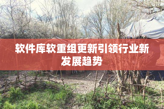 软件库软重组更新引领行业新发展趋势