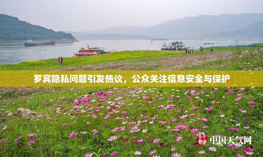 罗宾隐私问题引发热议，公众关注信息安全与保护