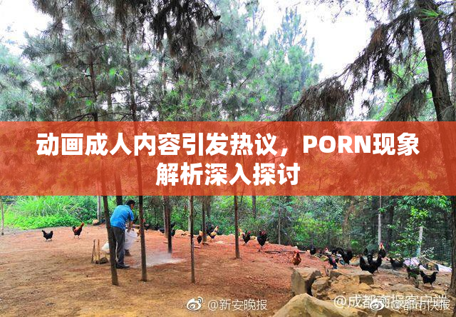 动画成人内容引发热议，PORN现象解析深入探讨