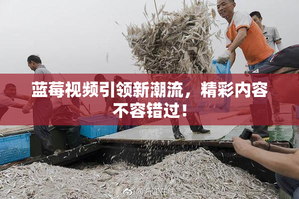蓝莓视频引领新潮流，精彩内容不容错过！