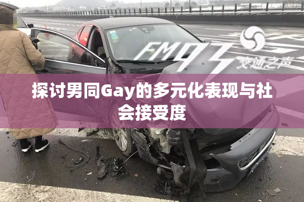 探讨男同Gay的多元化表现与社会接受度