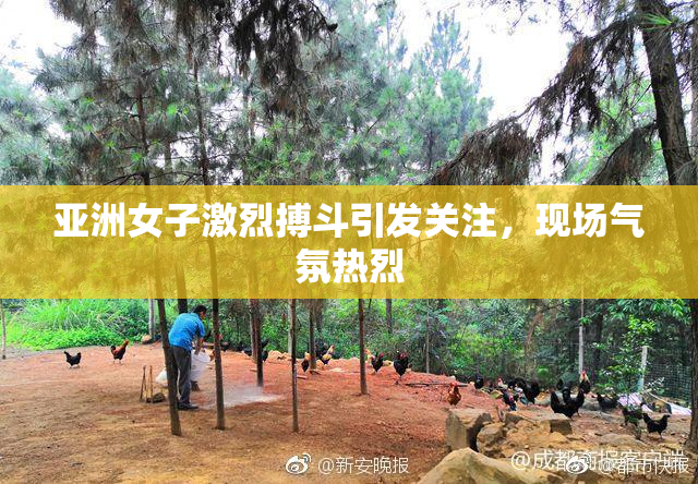 亚洲女子激烈搏斗引发关注，现场气氛热烈