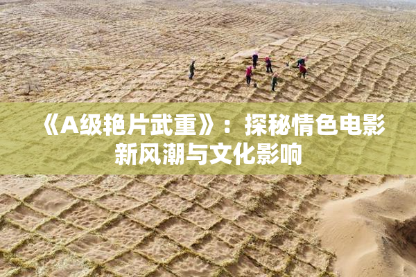 《A级艳片武重》：探秘情色电影新风潮与文化影响