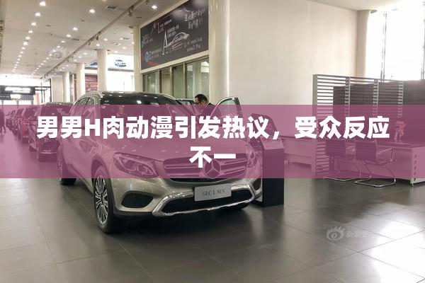 男男H肉动漫引发热议，受众反应不一