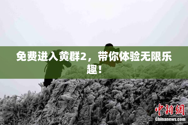 免费进入黄群2，带你体验无限乐趣！