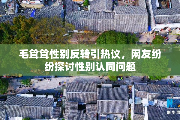 毛耸耸性别反转引热议，网友纷纷探讨性别认同问题