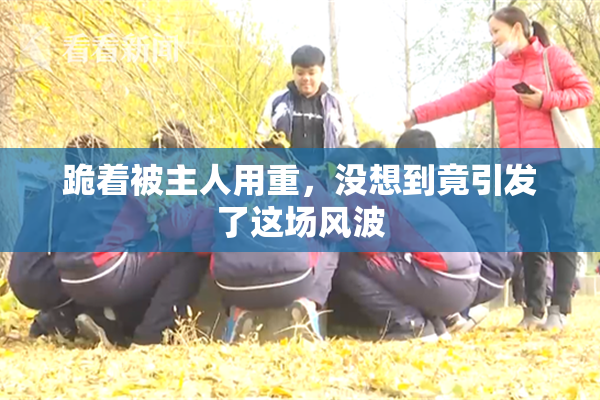 跪着被主人用重，没想到竟引发了这场风波