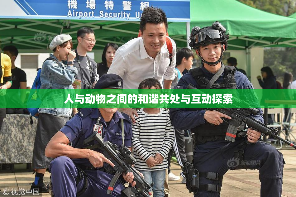 人与动物之间的和谐共处与互动探索