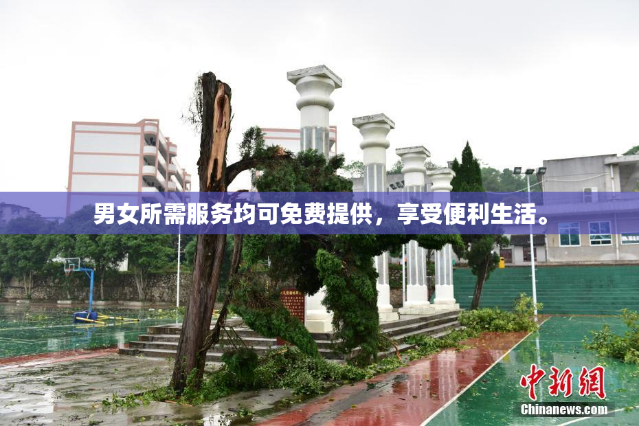 男女所需服务均可免费提供，享受便利生活。