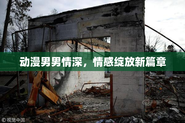 动漫男男情深，情感绽放新篇章
