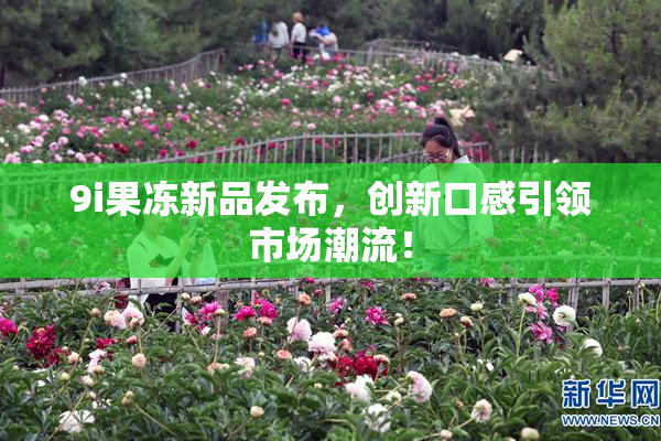 9i果冻新品发布，创新口感引领市场潮流！