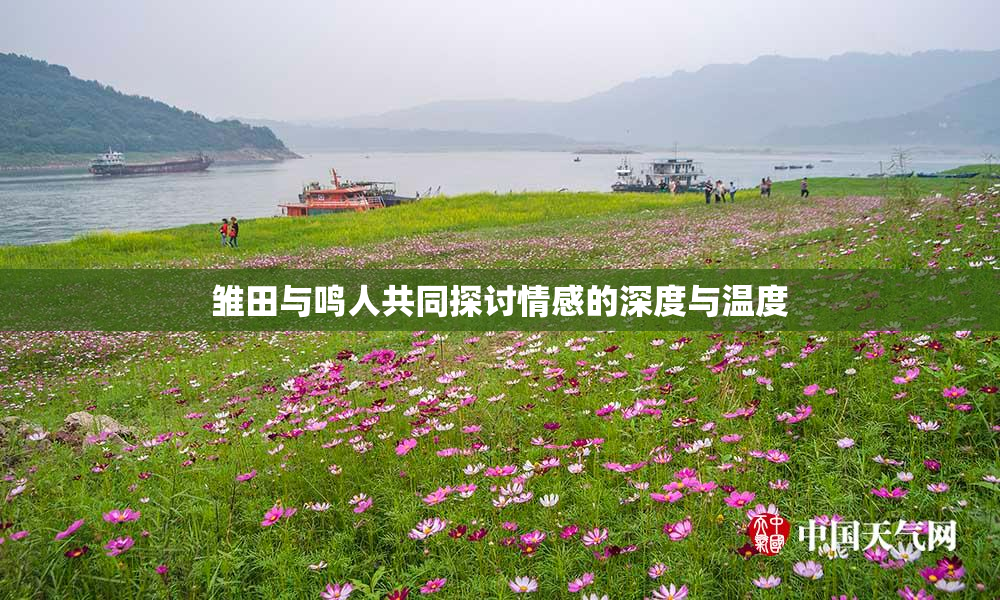 雏田与鸣人共同探讨情感的深度与温度