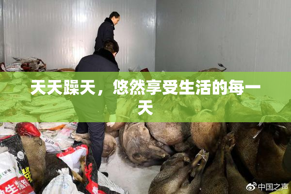 天天躁天，悠然享受生活的每一天