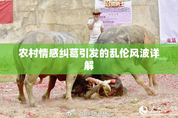 农村情感纠葛引发的乱伦风波详解