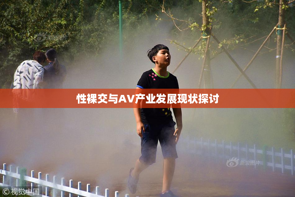 性裸交与AV产业发展现状探讨