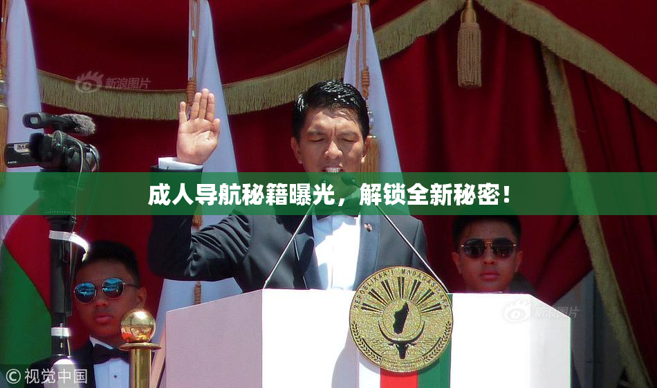 成人导航秘籍曝光，解锁全新秘密！