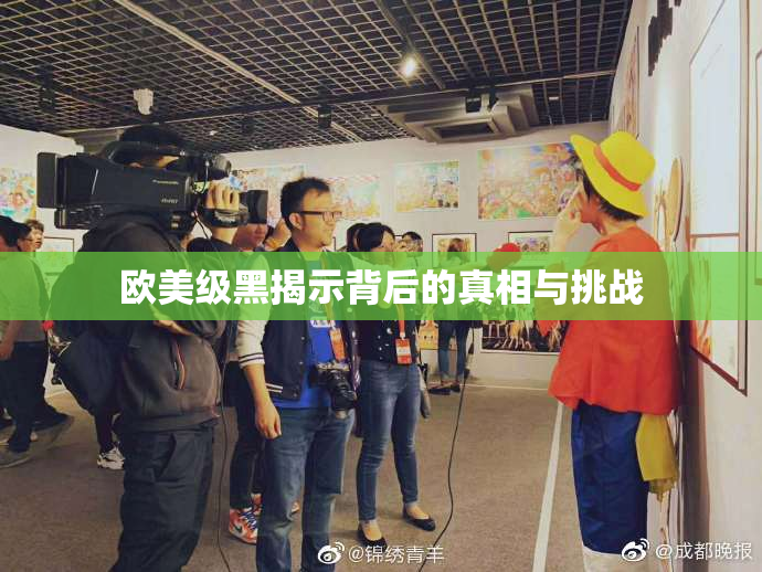 欧美级黑揭示背后的真相与挑战