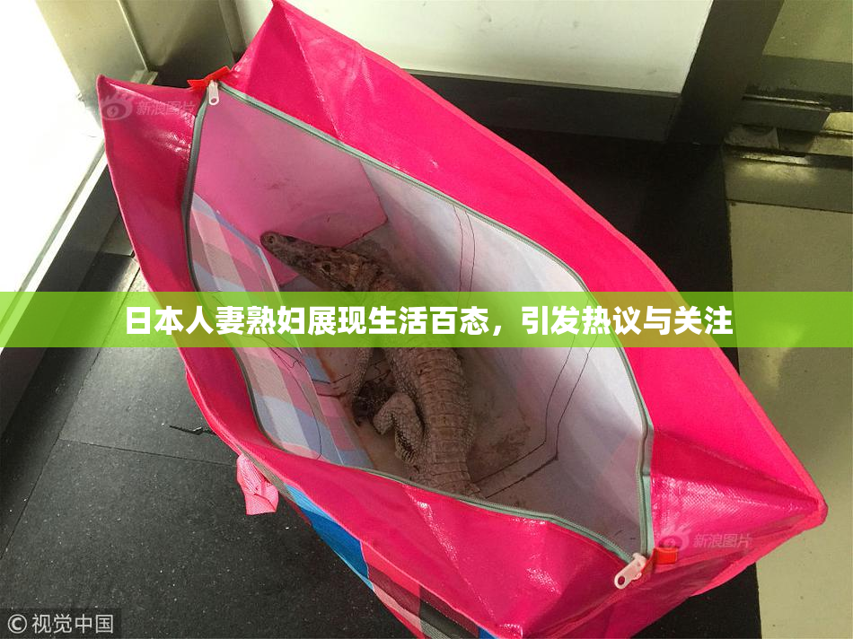 日本人妻熟妇展现生活百态，引发热议与关注