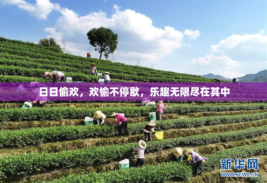 日日偷欢，欢愉不停歇，乐趣无限尽在其中