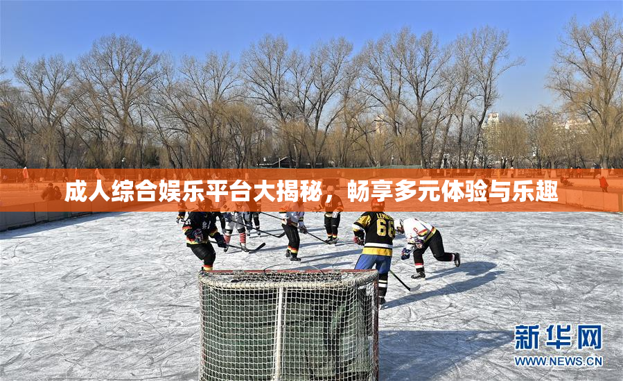 成人综合娱乐平台大揭秘，畅享多元体验与乐趣
