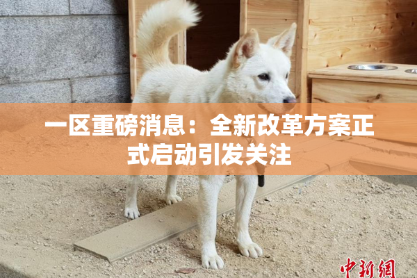 一区重磅消息：全新改革方案正式启动引发关注