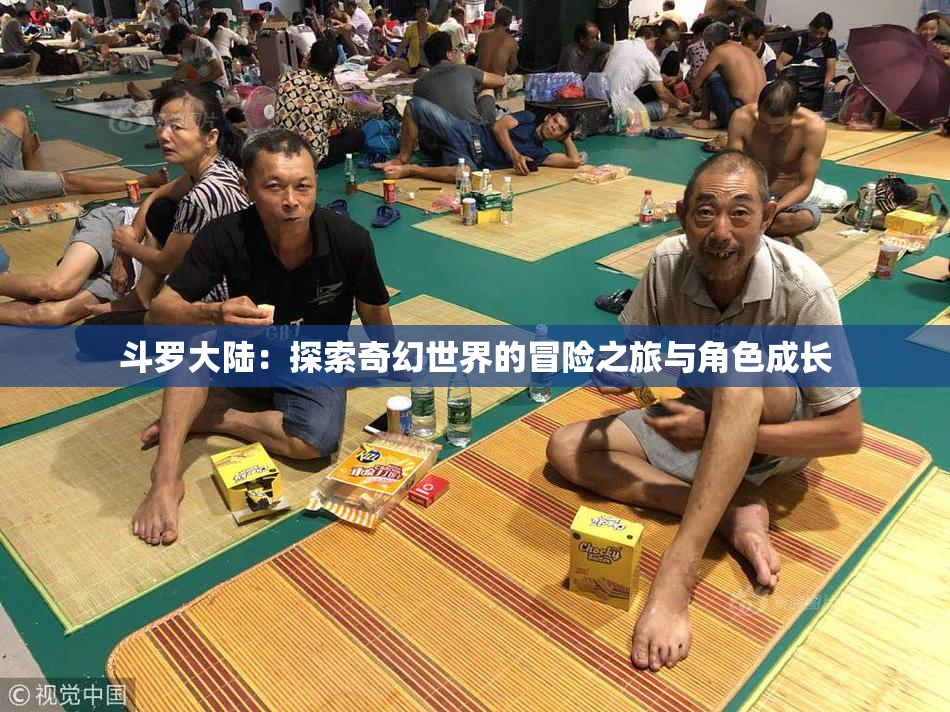 斗罗大陆：探索奇幻世界的冒险之旅与角色成长