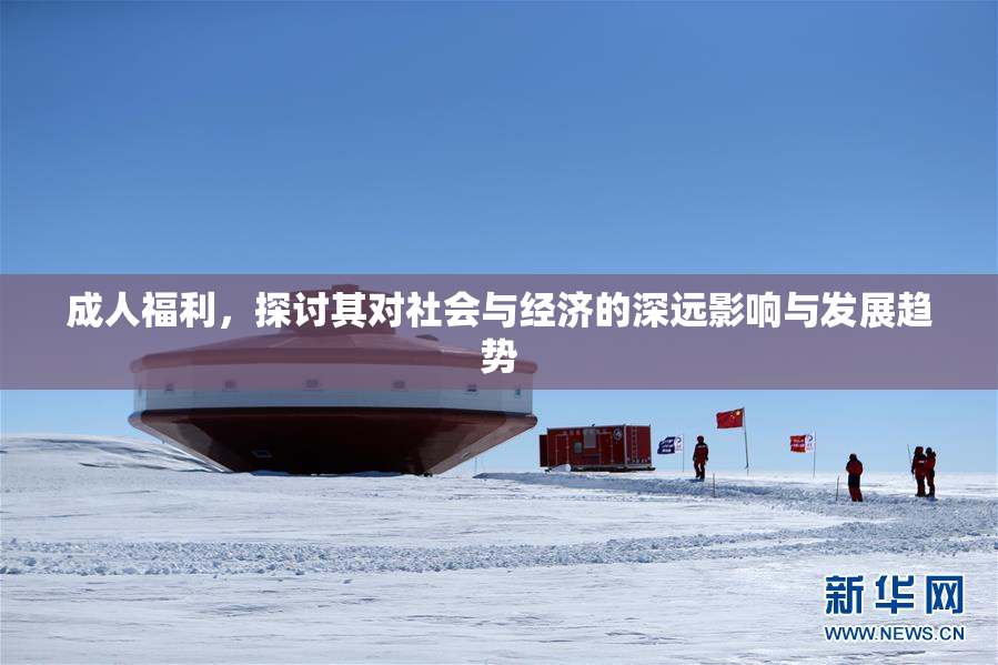 成人福利，探讨其对社会与经济的深远影响与发展趋势