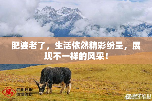肥婆老了，生活依然精彩纷呈，展现不一样的风采！