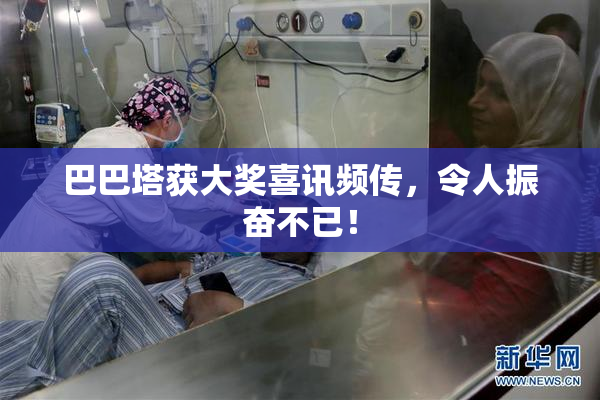 巴巴塔获大奖喜讯频传，令人振奋不已！