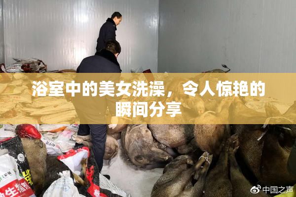 浴室中的美女洗澡，令人惊艳的瞬间分享